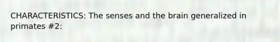 CHARACTERISTICS: The senses and the brain generalized in primates #2: