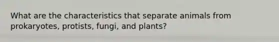 What are the characteristics that separate animals from prokaryotes, protists, fungi, and plants?