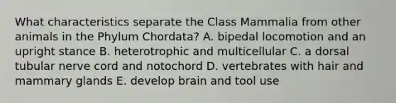 What characteristics separate the Class Mammalia from other animals in the Phylum Chordata? A. bipedal locomotion and an upright stance B. heterotrophic and multicellular C. a dorsal tubular nerve cord and notochord D. vertebrates with hair and mammary glands E. develop brain and tool use