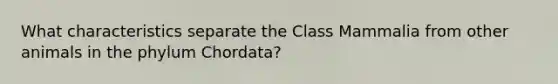 What characteristics separate the Class Mammalia from other animals in the phylum Chordata?