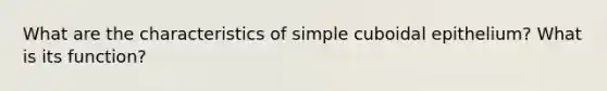 What are the characteristics of simple cuboidal epithelium? What is its function?