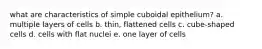 what are characteristics of simple cuboidal epithelium? a. multiple layers of cells b. thin, flattened cells c. cube-shaped cells d. cells with flat nuclei e. one layer of cells