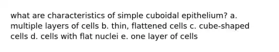 what are characteristics of simple cuboidal epithelium? a. multiple layers of cells b. thin, flattened cells c. cube-shaped cells d. cells with flat nuclei e. one layer of cells