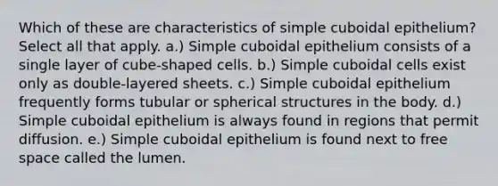 Which of these are characteristics of simple cuboidal epithelium? Select all that apply. a.) Simple cuboidal epithelium consists of a single layer of cube-shaped cells. b.) Simple cuboidal cells exist only as double-layered sheets. c.) Simple cuboidal epithelium frequently forms tubular or spherical structures in the body. d.) Simple cuboidal epithelium is always found in regions that permit diffusion. e.) Simple cuboidal epithelium is found next to free space called the lumen.