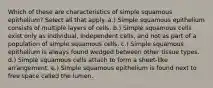 Which of these are characteristics of simple squamous epithelium? Select all that apply. a.) Simple squamous epithelium consists of multiple layers of cells. b.) Simple squamous cells exist only as individual, independent cells, and not as part of a population of simple squamous cells. c.) Simple squamous epithelium is always found wedged between other tissue types. d.) Simple squamous cells attach to form a sheet-like arrangement. e.) Simple squamous epithelium is found next to free space called the lumen.