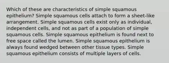 Which of these are characteristics of simple squamous epithelium? Simple squamous cells attach to form a sheet-like arrangement. Simple squamous cells exist only as individual, independent cells, and not as part of a population of simple squamous cells. Simple squamous epithelium is found next to free space called the lumen. Simple squamous epithelium is always found wedged between other tissue types. Simple squamous epithelium consists of multiple layers of cells.