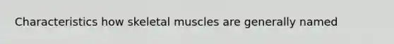 Characteristics how skeletal muscles are generally named