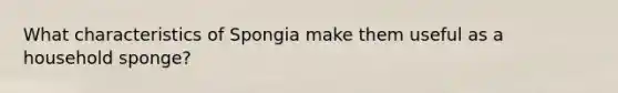 What characteristics of Spongia make them useful as a household sponge?