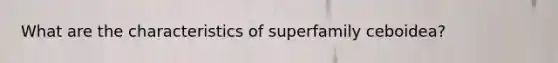 What are the characteristics of superfamily ceboidea?