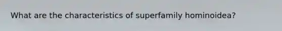 What are the characteristics of superfamily hominoidea?