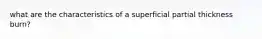 what are the characteristics of a superficial partial thickness burn?