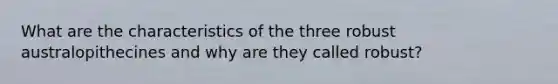 What are the characteristics of the three robust australopithecines and why are they called robust?