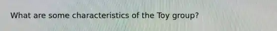 What are some characteristics of the Toy group?