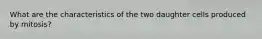 What are the characteristics of the two daughter cells produced by mitosis?