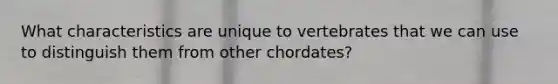 What characteristics are unique to vertebrates that we can use to distinguish them from other chordates?