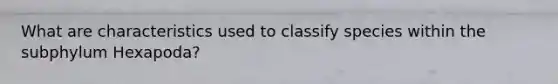 What are characteristics used to classify species within the subphylum Hexapoda?