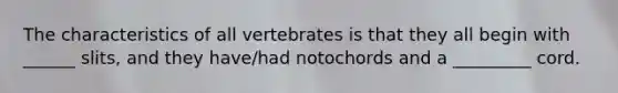 The characteristics of all vertebrates is that they all begin with ______ slits, and they have/had notochords and a _________ cord.