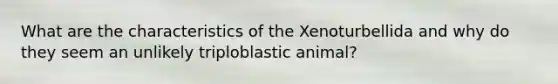 What are the characteristics of the Xenoturbellida and why do they seem an unlikely triploblastic animal?