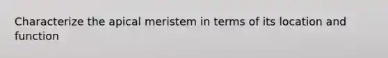 Characterize the apical meristem in terms of its location and function