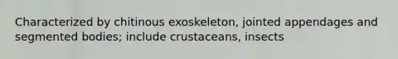 Characterized by chitinous exoskeleton, jointed appendages and segmented bodies; include crustaceans, insects