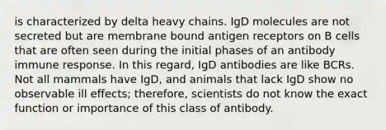 is characterized by delta heavy chains. IgD molecules are not secreted but are membrane bound antigen receptors on B cells that are often seen during the initial phases of an antibody immune response. In this regard, IgD antibodies are like BCRs. Not all mammals have IgD, and animals that lack IgD show no observable ill effects; therefore, scientists do not know the exact function or importance of this class of antibody.