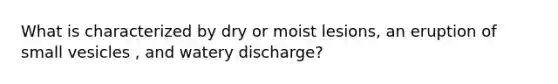 What is characterized by dry or moist lesions, an eruption of small vesicles , and watery discharge?