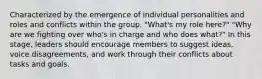 Characterized by the emergence of individual personalities and roles and conflicts within the group. "What's my role here?" "Why are we fighting over who's in charge and who does what?" In this stage, leaders should encourage members to suggest ideas, voice disagreements, and work through their conflicts about tasks and goals.