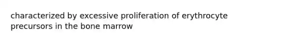characterized by excessive proliferation of erythrocyte precursors in the bone marrow