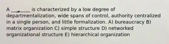 A ________ is characterized by a low degree of departmentalization, wide spans of control, authority centralized in a single person, and little formalization. A) bureaucracy B) matrix organization C) simple structure D) networked organizational structure E) hierarchical organization