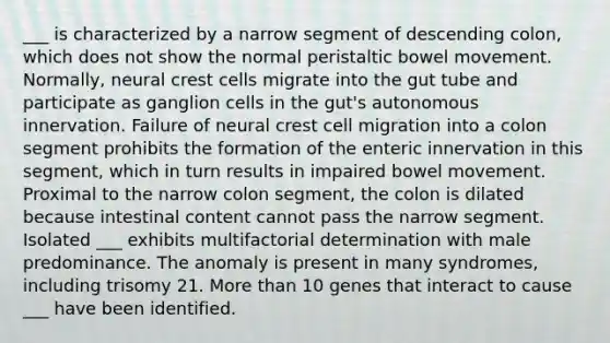 ___ is characterized by a narrow segment of descending colon, which does not show the normal peristaltic bowel movement. Normally, neural crest cells migrate into the gut tube and participate as ganglion cells in the gut's autonomous innervation. Failure of neural crest cell migration into a colon segment prohibits the formation of the enteric innervation in this segment, which in turn results in impaired bowel movement. Proximal to the narrow colon segment, the colon is dilated because intestinal content cannot pass the narrow segment. Isolated ___ exhibits multifactorial determination with male predominance. The anomaly is present in many syndromes, including trisomy 21. More than 10 genes that interact to cause ___ have been identified.