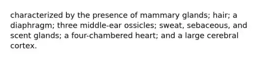 characterized by the presence of mammary glands; hair; a diaphragm; three middle-ear ossicles; sweat, sebaceous, and scent glands; a four-chambered heart; and a large cerebral cortex.