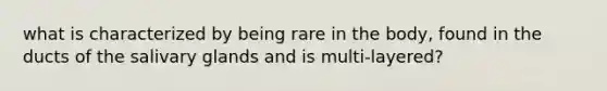 what is characterized by being rare in the body, found in the ducts of the salivary glands and is multi-layered?