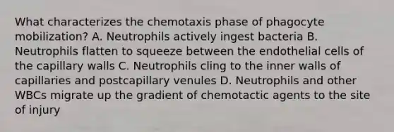 What characterizes the chemotaxis phase of phagocyte mobilization? A. Neutrophils actively ingest bacteria B. Neutrophils flatten to squeeze between the endothelial cells of the capillary walls C. Neutrophils cling to the inner walls of capillaries and postcapillary venules D. Neutrophils and other WBCs migrate up the gradient of chemotactic agents to the site of injury