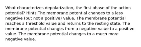 What characterizes depolarization, the first phase of the action potential? Hints The membrane potential changes to a less negative (but not a positive) value. The membrane potential reaches a threshold value and returns to the resting state. The membrane potential changes from a negative value to a positive value. The membrane potential changes to a much more negative value.