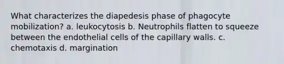 What characterizes the diapedesis phase of phagocyte mobilization? a. leukocytosis b. Neutrophils flatten to squeeze between the endothelial cells of the capillary walls. c. chemotaxis d. margination