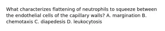 What characterizes flattening of neutrophils to squeeze between the endothelial cells of the capillary walls? A. margination B. chemotaxis C. diapedesis D. leukocytosis