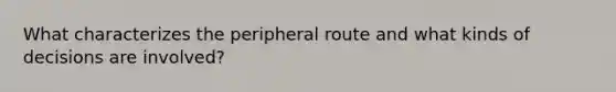 What characterizes the peripheral route and what kinds of decisions are involved?