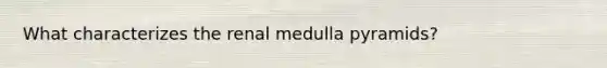 What characterizes the renal medulla pyramids?