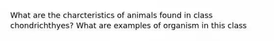 What are the charcteristics of animals found in class chondrichthyes? What are examples of organism in this class