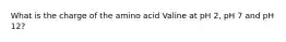 What is the charge of the amino acid Valine at pH 2, pH 7 and pH 12?