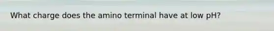 What charge does the amino terminal have at low pH?