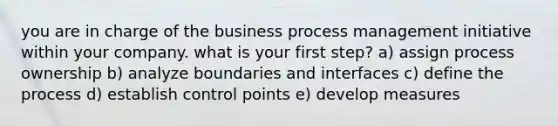 you are in charge of the business process management initiative within your company. what is your first step? a) assign process ownership b) analyze boundaries and interfaces c) define the process d) establish control points e) develop measures