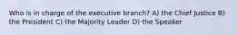 Who is in charge of the executive branch? A) the Chief Justice B) the President C) the Majority Leader D) the Speaker