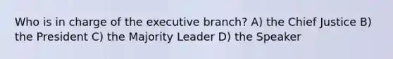 Who is in charge of the executive branch? A) the Chief Justice B) the President C) the Majority Leader D) the Speaker