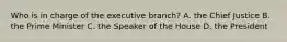 Who is in charge of the executive branch? A. the Chief Justice B. the Prime Minister C. the Speaker of the House D. the President
