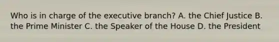 Who is in charge of the executive branch? A. the Chief Justice B. the Prime Minister C. the Speaker of the House D. the President