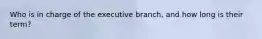 Who is in charge of the executive branch, and how long is their term?