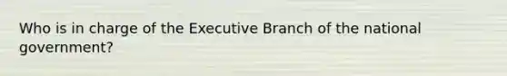 Who is in charge of the Executive Branch of the national government?