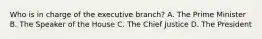Who is in charge of the executive branch? A. The Prime Minister B. The Speaker of the House C. The Chief Justice D. The President