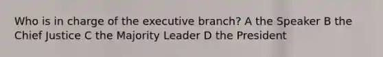 Who is in charge of the executive branch? A the Speaker B the Chief Justice C the Majority Leader D the President